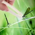 thumbnail image 4 of 8 pinzas de plástico para niños pequeños, pinzas de juguete para juegos sensoriales, herramientas para enseñar ciencias y observar la naturaleza, ideal para estudiantes, excursiones de primavera, 4 of 8