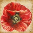 thumbnail image 3 of Pinto, Patricia 15x15 Black Modern Framed Museum Art Print Titled - Red Poppy on Gold, 3 of 5