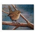 thumbnail image 3 of Designart 'Wren Bird On Branch In Winter' Farmhouse Print on Natural Pine Wood, 3 of 5