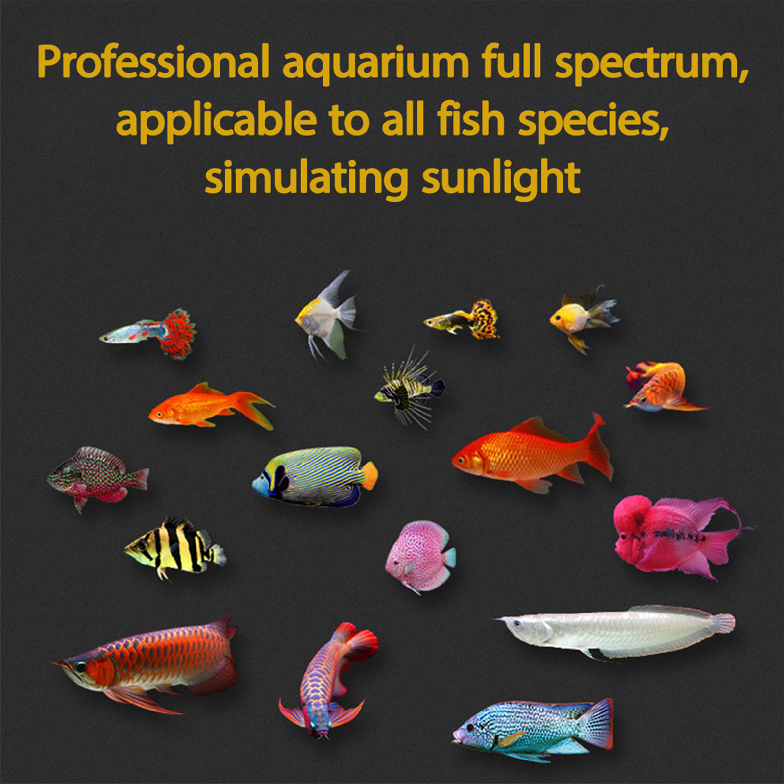 Buy Aquarium Hood Lighting Color Changing Remote Controlled Dimmable