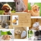 thumbnail image 5 of Urna funeraria para perros de bambú con marco de fotos 16x11x11cm, 5 of 5