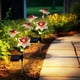 thumbnail image 1 of Luces solares de jardín con estaca | Luces solares de flores para exteriores para decoración de patio | Iluminación solar impermeable para exteriores, 1 of 6