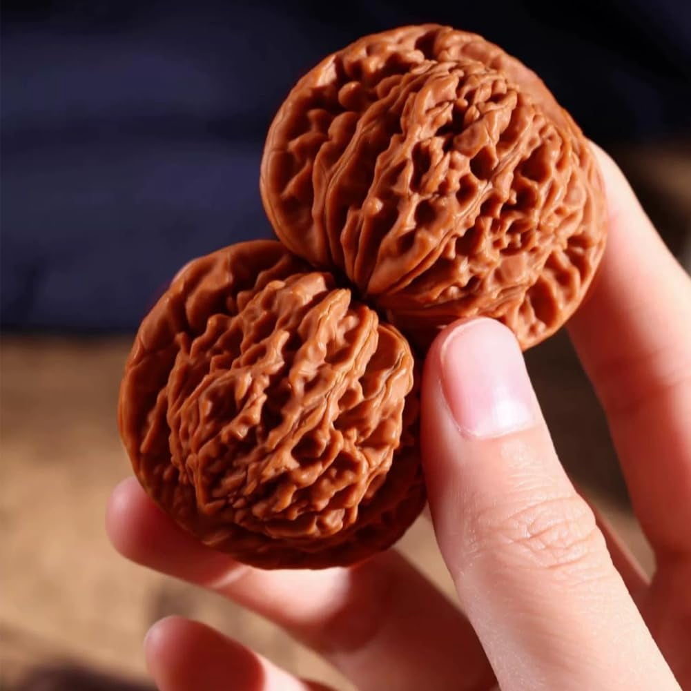 Chinese Walnuts Fidget – 2PCS Traditional Exercise Walnuts, comes with a gift box and cleaning brush set, relieves stress,  improves concentration(RL 1.7in 1 Set)