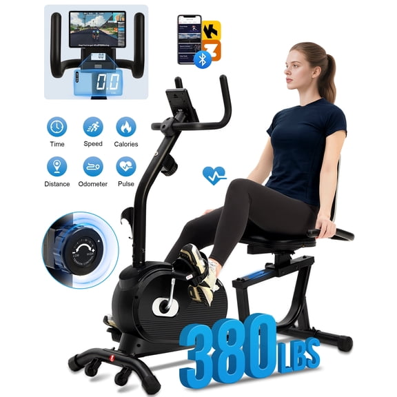 ECHANFIT Recumbent Exercise Bike for Home - 380LBS Weight Capacity, Exercise Bike with Smart Workout APP, 16-Level Magnetic Resistance, LCD Display, Comfortable Seat