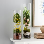 12 Pack: 14 Cylinder Glass Vase by Ashland