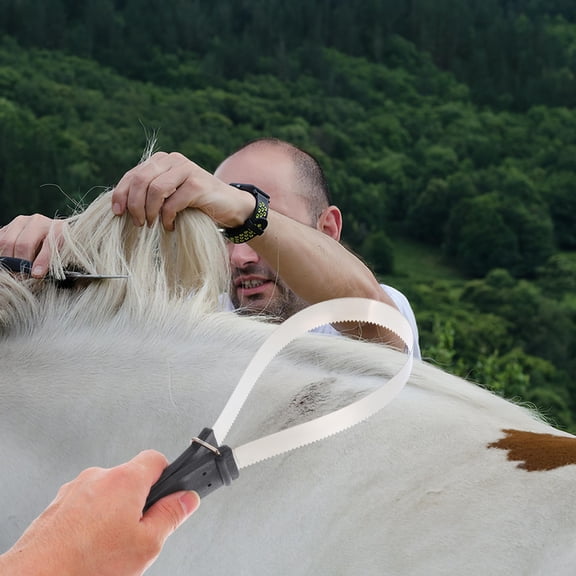 Raindrops Stainless Scraper Brush for Shedding, Cleaning, and Coat Care