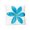 Aqua Blossom, variant on Paper Frenzy Gold and Silver Metallic Sparkle Wedding Ring Bearer Pillow