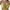 Green, variant on Ltctricy Women's Lace Mesh Bras No Underwire Supportive Lift Full Coverage Bralettes Plus Size Unpadded Bras