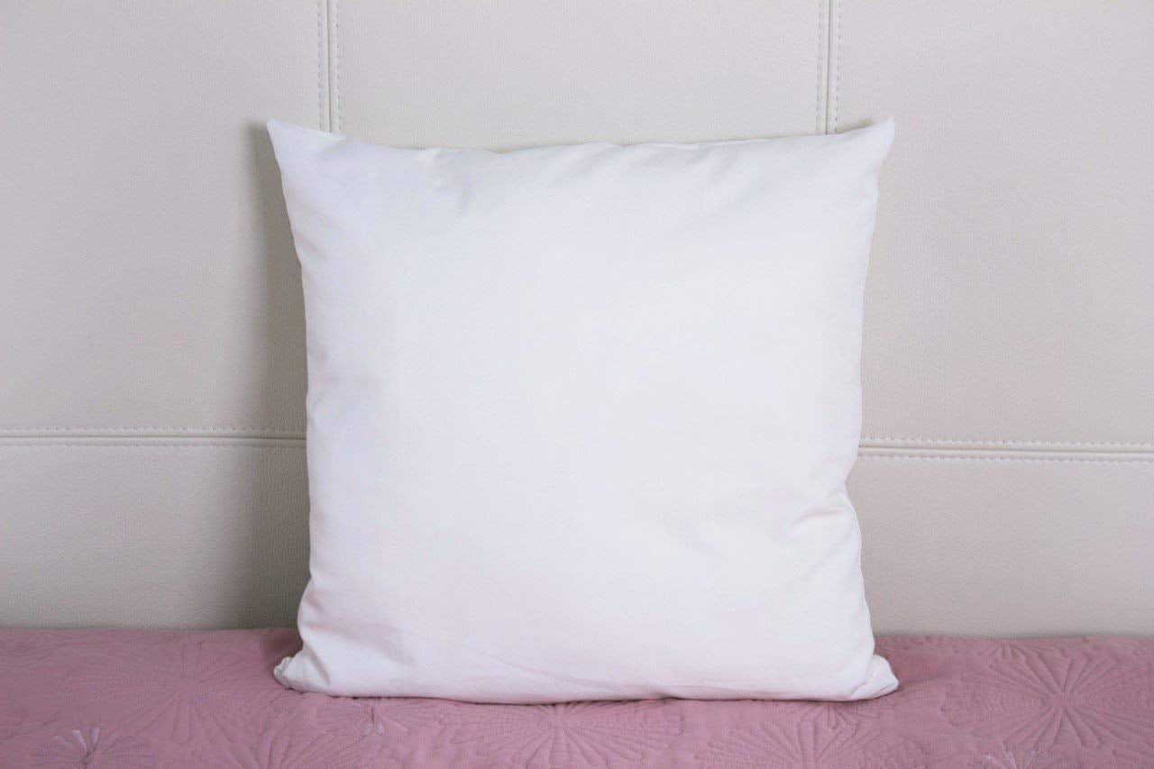 A1hc Pillow Insert Sterilized Extra Hypoallergenic Poly Fill with 200 TC Cotton Shell, Set of 2, Size: 22 x 22, White