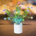 thumbnail image 4 of Hesxuno Mothers Day Gift - Birthday Gift/Holiday Gift-Small Wildflower Lamp Lights , Desk Lamp Led Simulation,Night Light With Vase,Table Lamp Ornaments For Home, 4 of 6