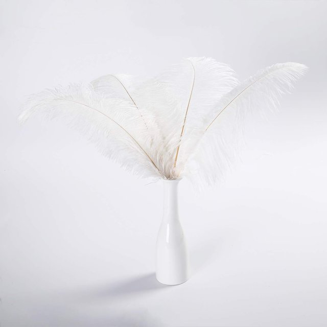 AWAYTR Plumas de avestruz naturales de 10 a 12 pulgadas (25 a 30 cm) para centros de mesa de boda, decoración del hogar, arreglos florales, decoraciones navideñas de bricolaje (10 unidades, blanco)