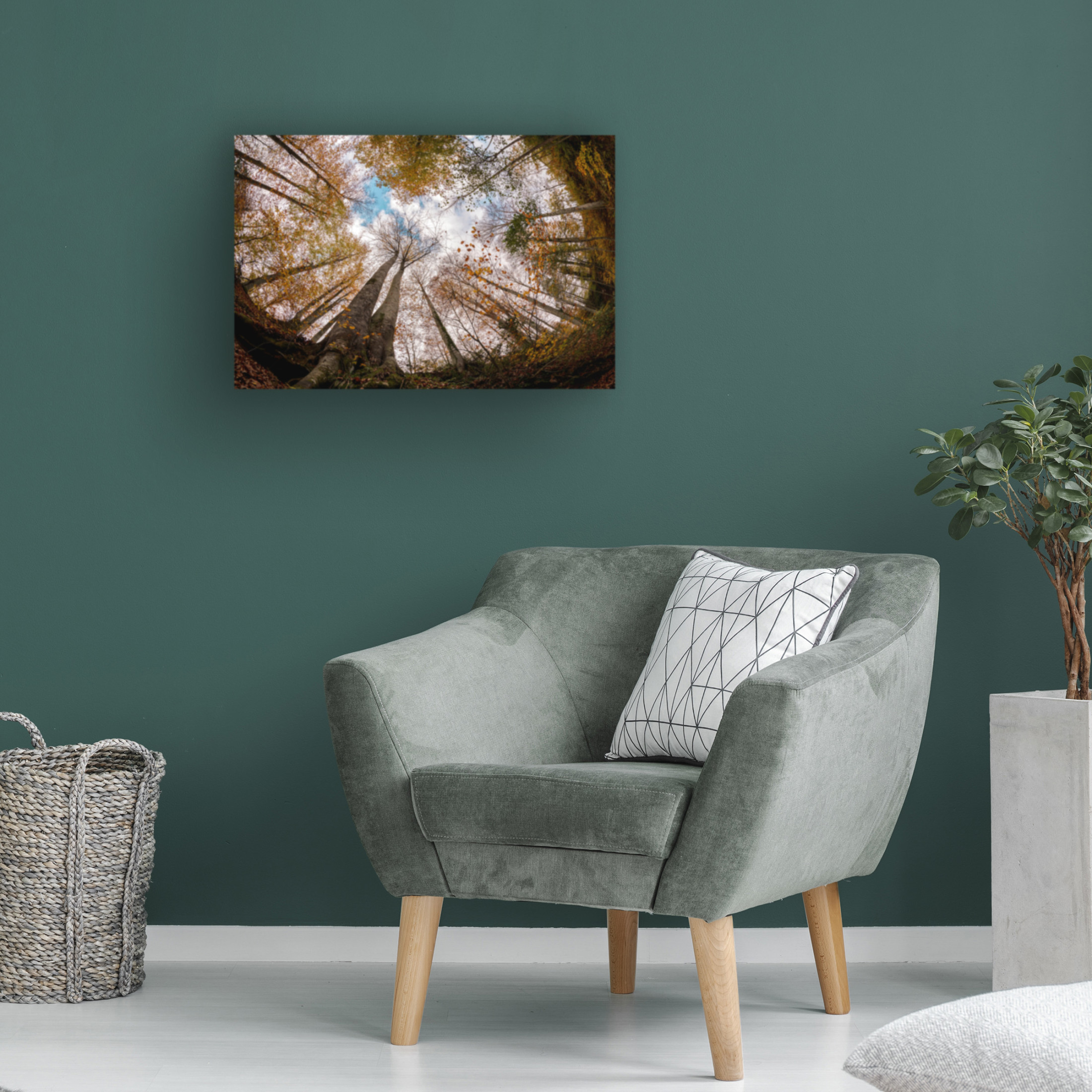Canvas Wall Art - Hakime Kucuk 'Forest' Wall Art for Living Room, Bedroom, or Office Décor by Trademark Fine Art - 47 x 30 Inches