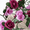 C, variant on Clearance Under $10 Artificial Flower Garland Peony Flowers Garland Hanging Silk Plants For Wedding Ivy Flowers Hanging Flower Strings For Wedding Arch Table Wall on Clearance