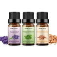 thumbnail image 1 of Sedbuwza Essential Oil 100% Pure Sandalwood, Lavender and Peppermint Set 10ml, 1 of 7