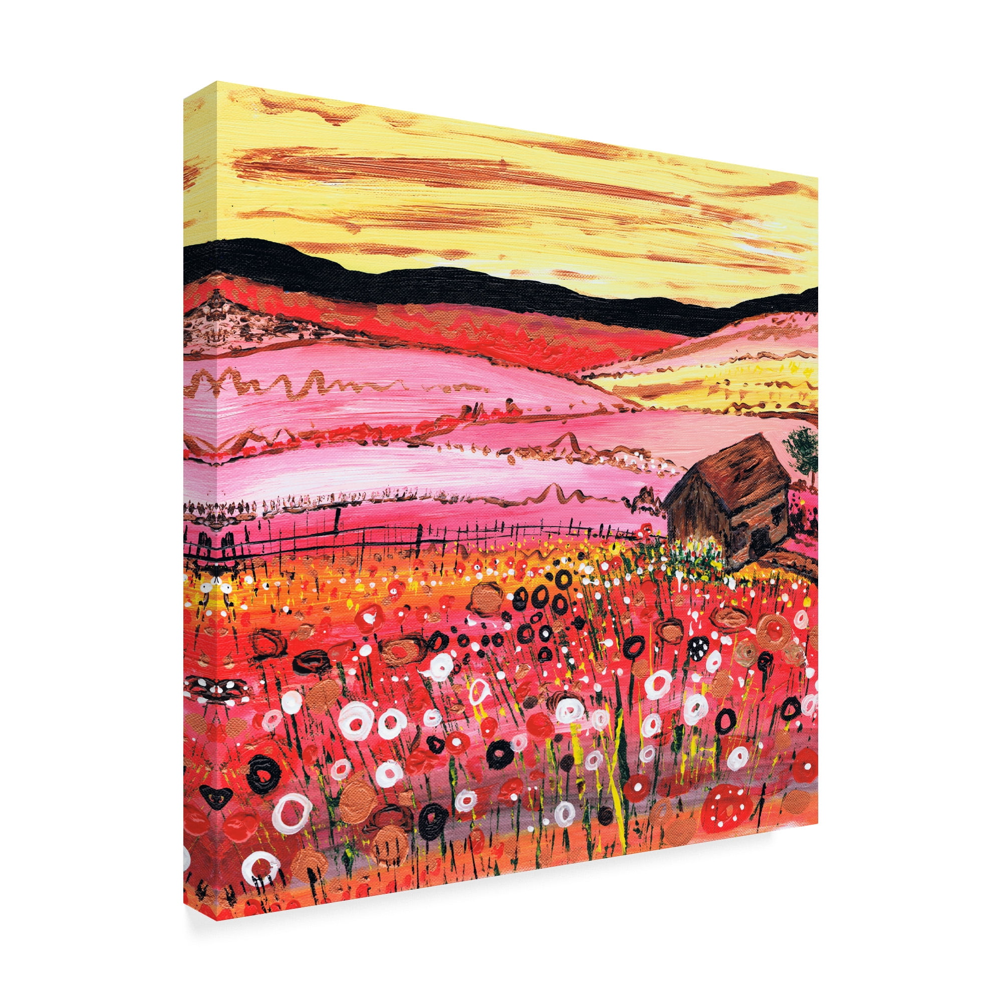 Trademark Fine Art 'A Cottage in Summer' Canvas Art by Caroline Duncan ART