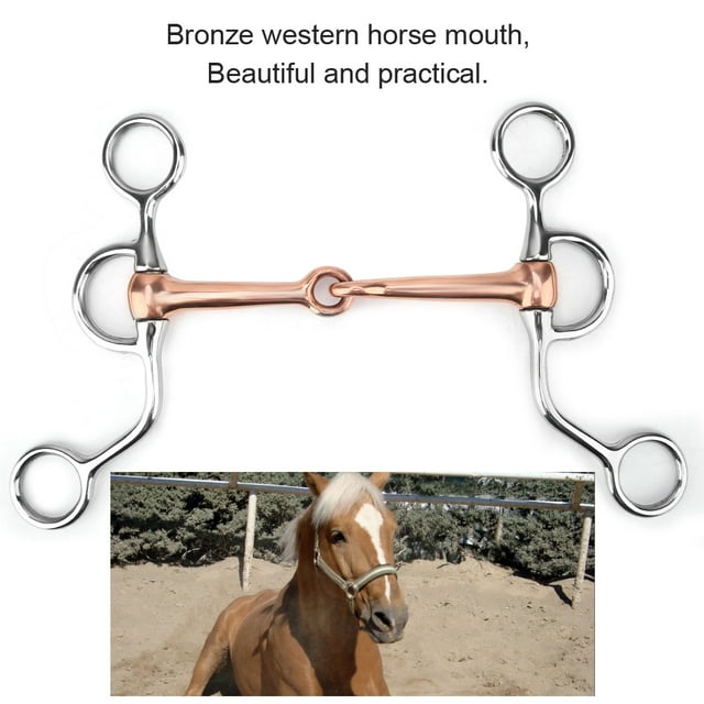 Brocas para Caballos, Broca de Atrenamiento de Acero inoxidable, Broca para Caballo, Broca para Caballo, filete para mascar, Accesorio de Carreras, Brocas para filete, desorden