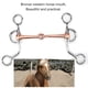thumbnail image 3 of Brocas para Caballos, Broca de Atrenamiento de Acero inoxidable, Broca para Caballo, Broca para Caballo, filete para mascar, Accesorio de Carreras, Brocas para filete, desorden, 3 of 7