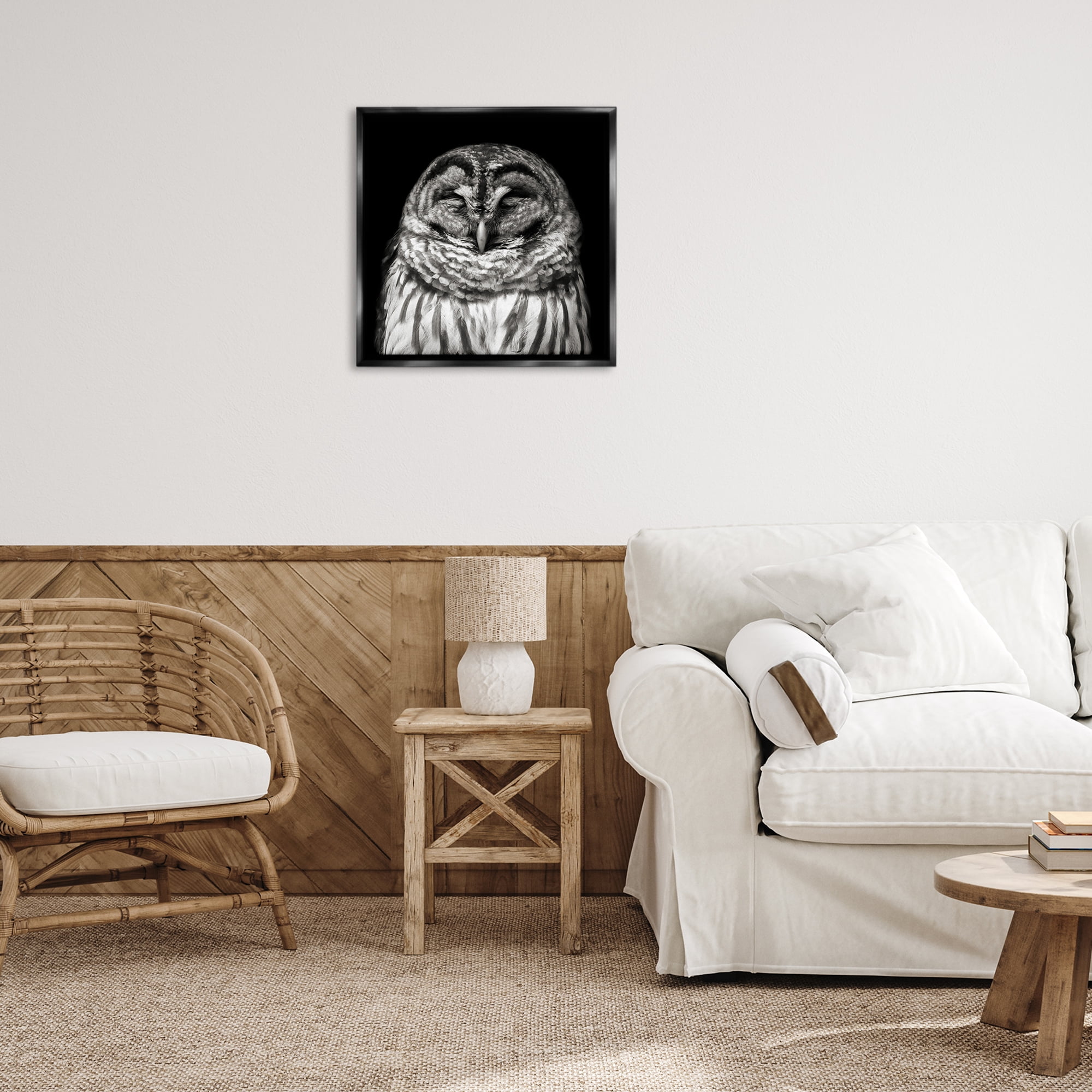 Stupell Industries Sleeping Owl Portrait Animals & Insects Photography Black Floater Framed Canvas Art Print Wall Art, 25 x 25