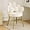 White, variant on CRXX Petal Makeup Vanity Chair with Back,Flower Cute Girls Desk Chair Comfy No Wheels,Modern Dining Chair,Small Accent Chair with Adustable Gold Legs&Bow Pillow for Home Office,Bedroom,Velvet,White