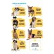 thumbnail image 5 of Pechera De Piel Ajustable Para Perro, Talla 4, 5 of 5
