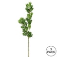 thumbnail image 2 of Vickerman FK180301 27 in. Green Boxwood Spray, 2 of 3