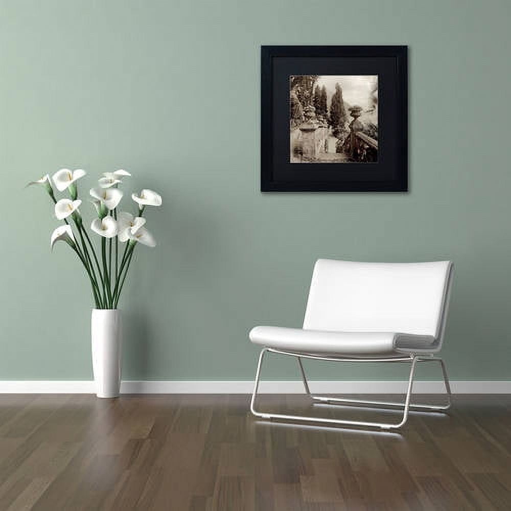 Trademark Fine Art "Lombardy VIII" Canvas Art by Alan Blaustein, Black Matte, Black Frame