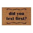 thumbnail image 1 of 16x24 Inch Summer Coir Mat Stencils Outdoor Mats for Front Door Door Rugs for Outdoor Entryway Welcome Doormat Waterproof All-Season Front Door Mat Outside Entrance, did you text first?, 1 of 5