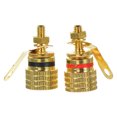thumbnail image 1 of SHINYPASING 2Pcs Golden Speaker Jack Binding Post Connector Replacement for Amplifier Wiring, 1 of 6