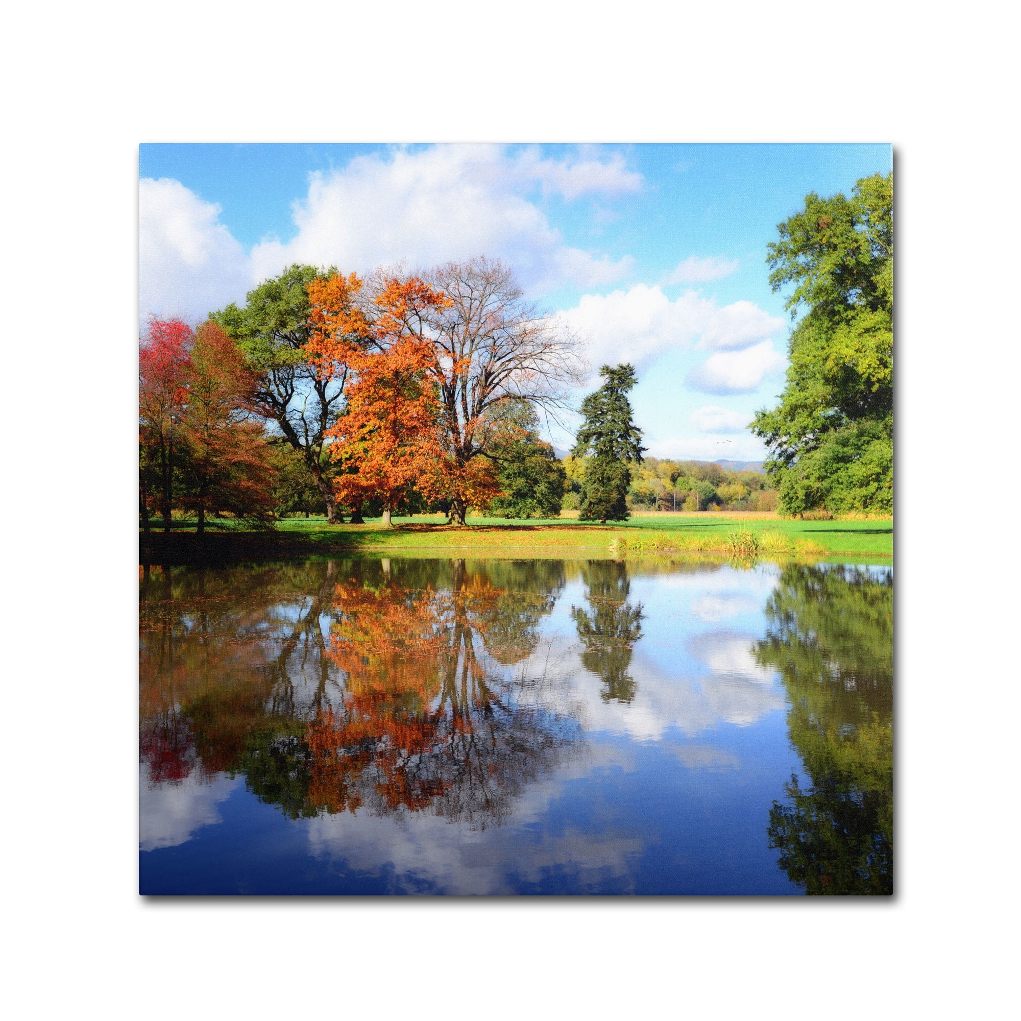 Trademark Fine Art "Otherworldly" Canvas Art by Philippe Sainte-Laudy