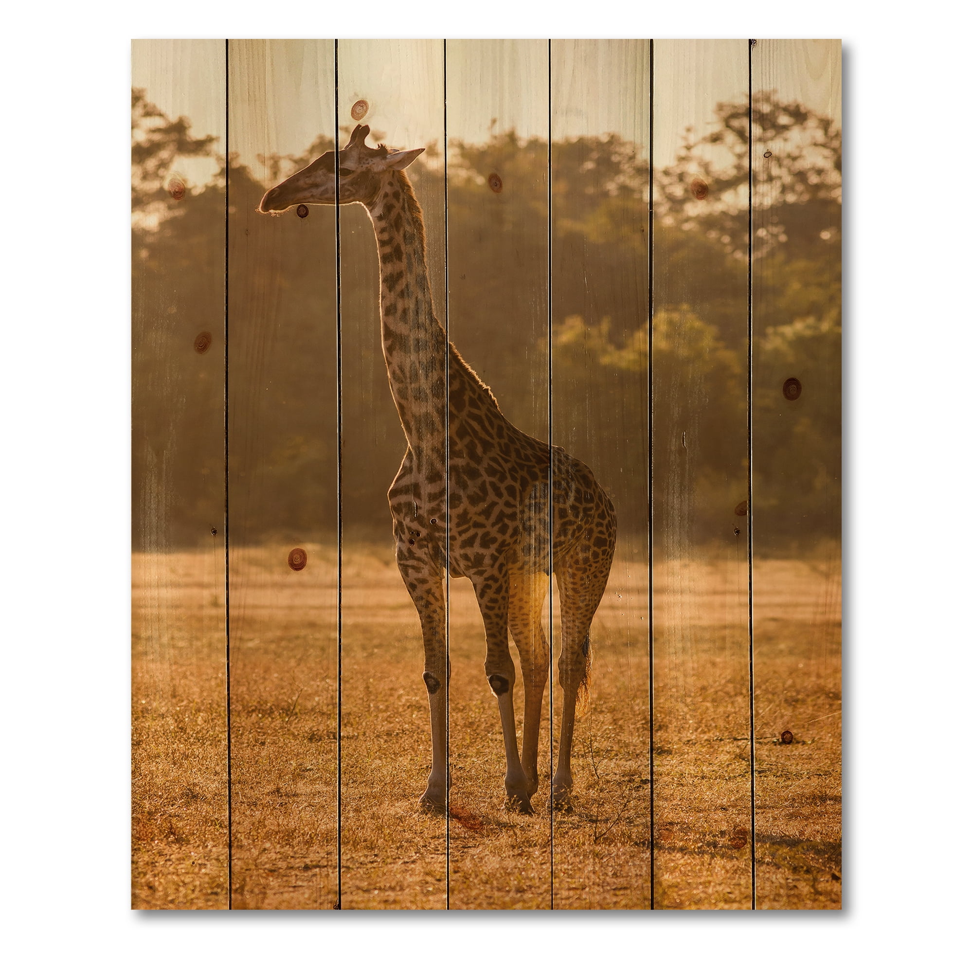 Designart 'African Giraffe In The Wildlife II' Farmhouse Print on Natural Pine Wood