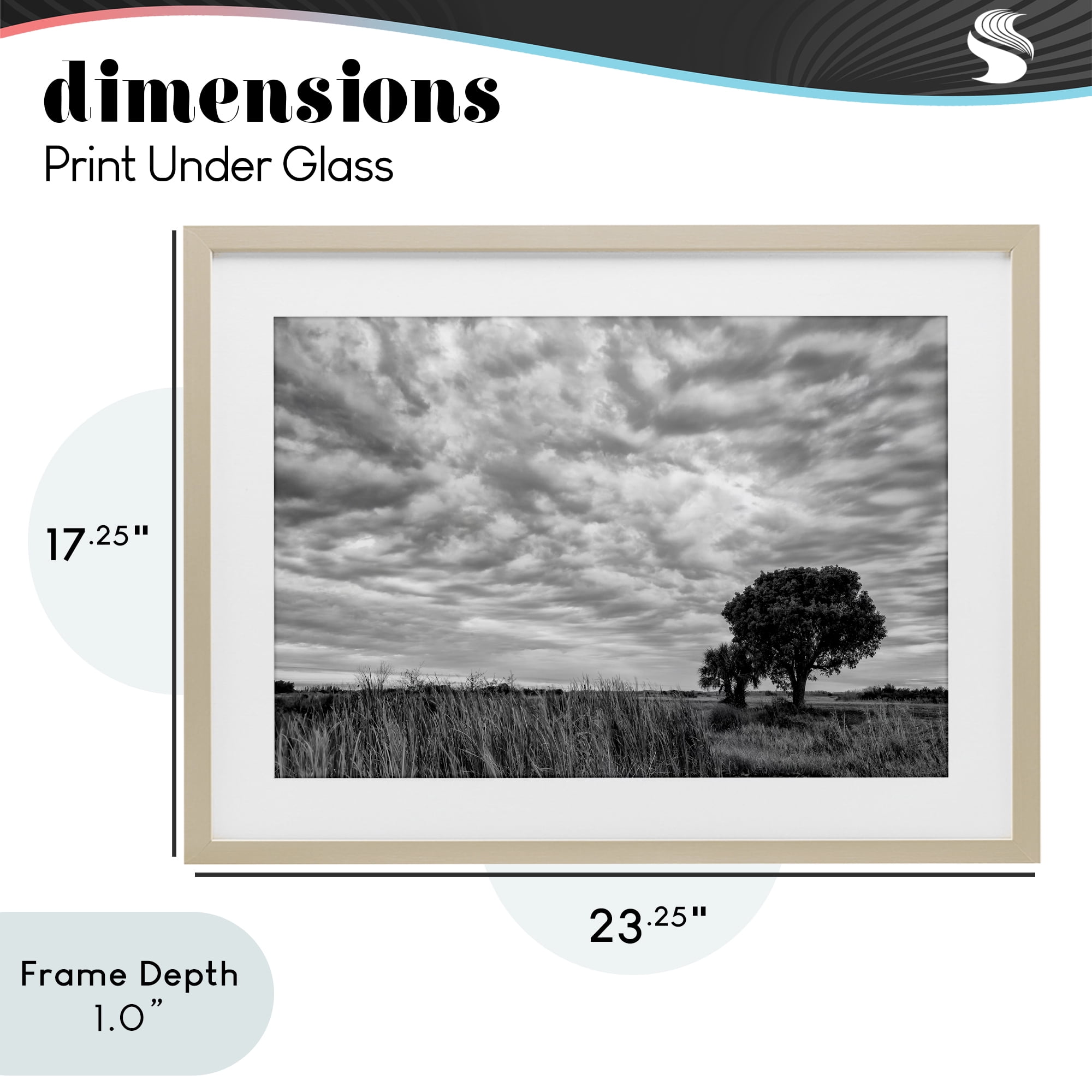 Stupell Industries Solitary Tree Beneath Clouds Birch Framed Print Under Glass, design by Jon Evan