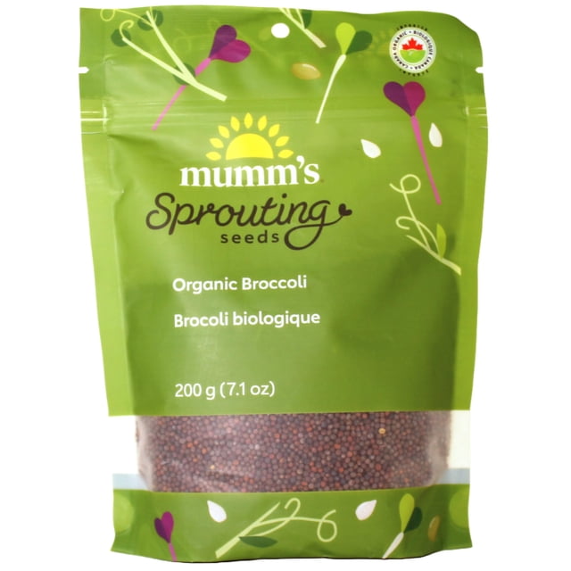 Organic Broccoli (Brocoli) Sprouting Seeds, Mumm's, Large Size - 200 Grams, Non-GMO - High Germination Rate - Resealable Bag