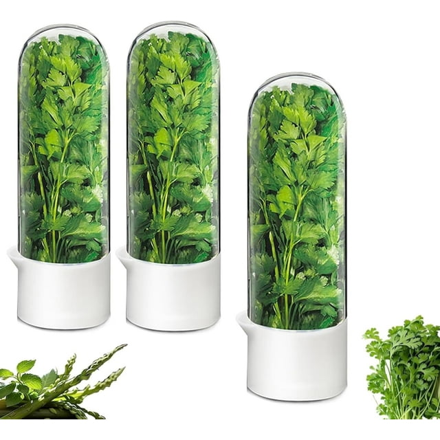 Contenedor para Hierbas Refrigerador Contenedor para Cilantro Conservador de Verduras Frescas para Alacena de Refrigerador