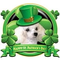 thumbnail image 3 of CafePress - Happy St. Patrick's Day Poodl Women's Dark Pajamas - Women's Short Sleeve Print T-Shirt and Pants Dark Cotton Pajama Set, 3 of 7