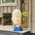 thumbnail image 4 of Farm Innovators Bol Chauffant pour Animaux de 3 Pintes avec Insert en Acier Inoxydable (2 Pack), 4 of 7
