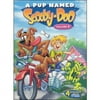A Pup Named Scooby-Doo, Vol. 1 [DVD]