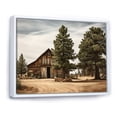 thumbnail image 2 of Designart "Pine Tree Rustic beauty" Tree Pine Floater Framed Canvas Print, 2 of 7