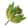 thumbnail image 3 of artificial, , flor de decoración , artificial, flor artificial Baoblaze Planta suculenta artificial, 3 of 8