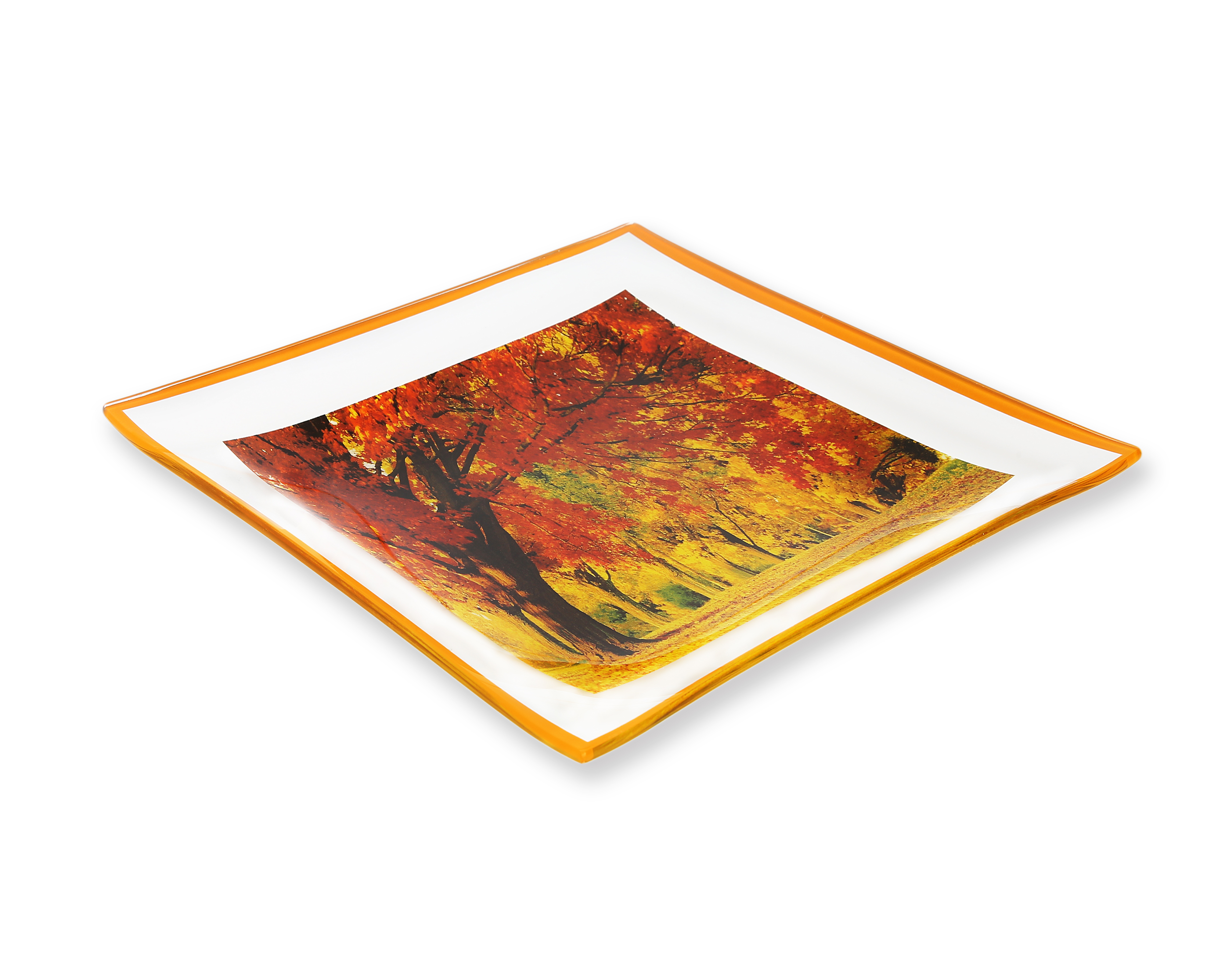 GAC Unique Landscape Design Square Tempered Glass Serving Plates 10.5