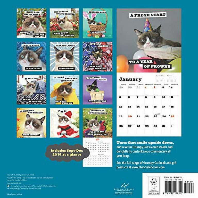 半額満載！スーパーSALE グランドセール！ 2020 Cat Grumpy Wall Yearly Gift Gag (funny Calendar: Pets&AnimalCare