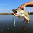 thumbnail image 5 of CIYISON Paddle Tail Swimbaits Fishing Lure for Trout Walleye Swim Baits 10cm, 5 of 11
