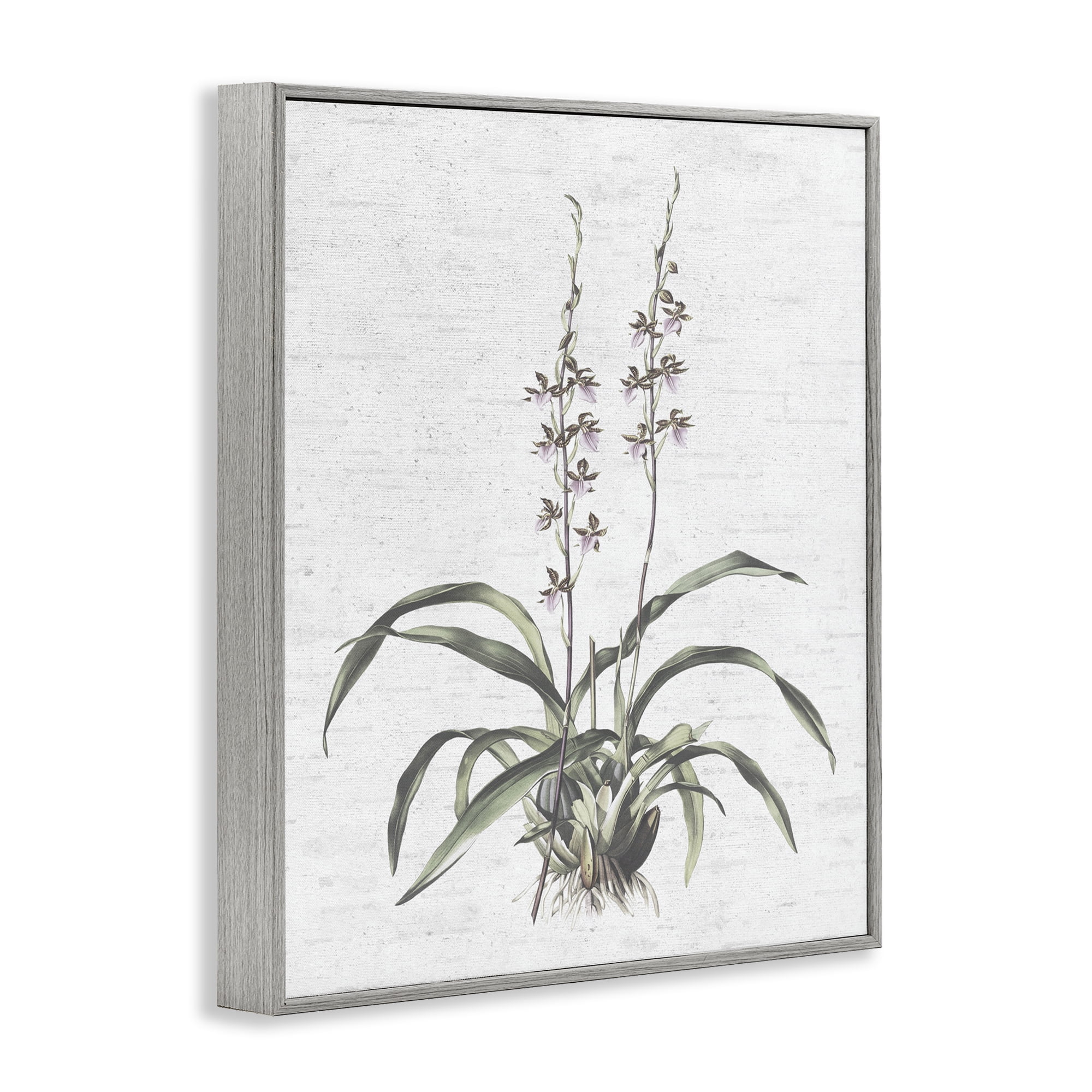 Stupell Industries Blooming Herb Bud Botanical & Floral Painting Gray Framed Art Print Wall Art, 24 x 30
