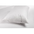thumbnail image 2 of Earthy Comfort Oreiller en Coton Alternatif en Duvet - Très Grand Lit, 2 of 3