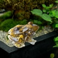 thumbnail image 4 of Garden Frog Ornament under $5! Yannianjz Garden Frog Ornaments Outdoor Decor, Resin Pond Critter Figurine for Fish Tank, Lawn Patio Landscape Decor, Waterproof Garden Statues, 4 of 6
