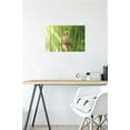 thumbnail image 4 of Fruits Basket - Kyo Soma Wall Poster, 14.725" x 22.375", 4 of 4