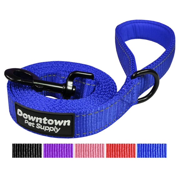 Downtown Pet Supply Reflective Dog Leash with Padded Handle, Blue Leash for Dogs