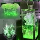 thumbnail image 5 of Cadena de luces SOCO, 16 unidades, 3 m, 30 LED, cable de cobre IP65, 5 of 7