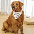 thumbnail image 3 of Engagement Gifts, My Humans are Getting Married She Said Yes Dog Bandana Large, Engagement Party Decorations, Wedding Photo Prop, Pet Scarf Engagement Announcement, Bride Accessories(White), 3 of 7