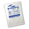 Pac-Kit Cold Packs - 80 Per Case