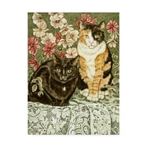 Trademark Fine Art 'Cosmos and Lace' Canvas Art by Jan Benz